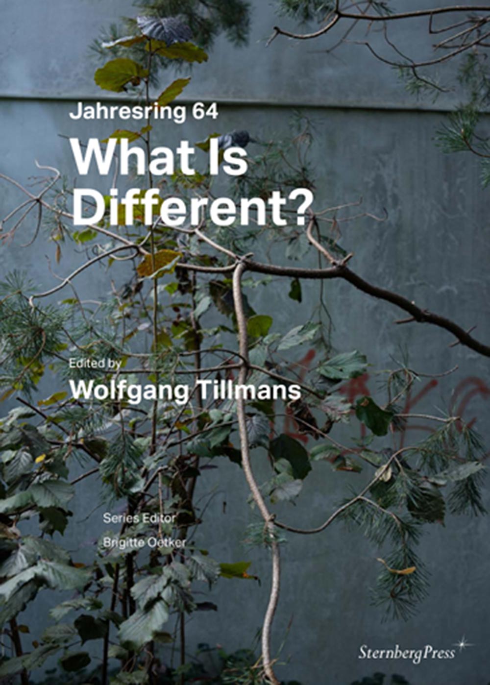 Wolfgang Tillmans: What Is Different?