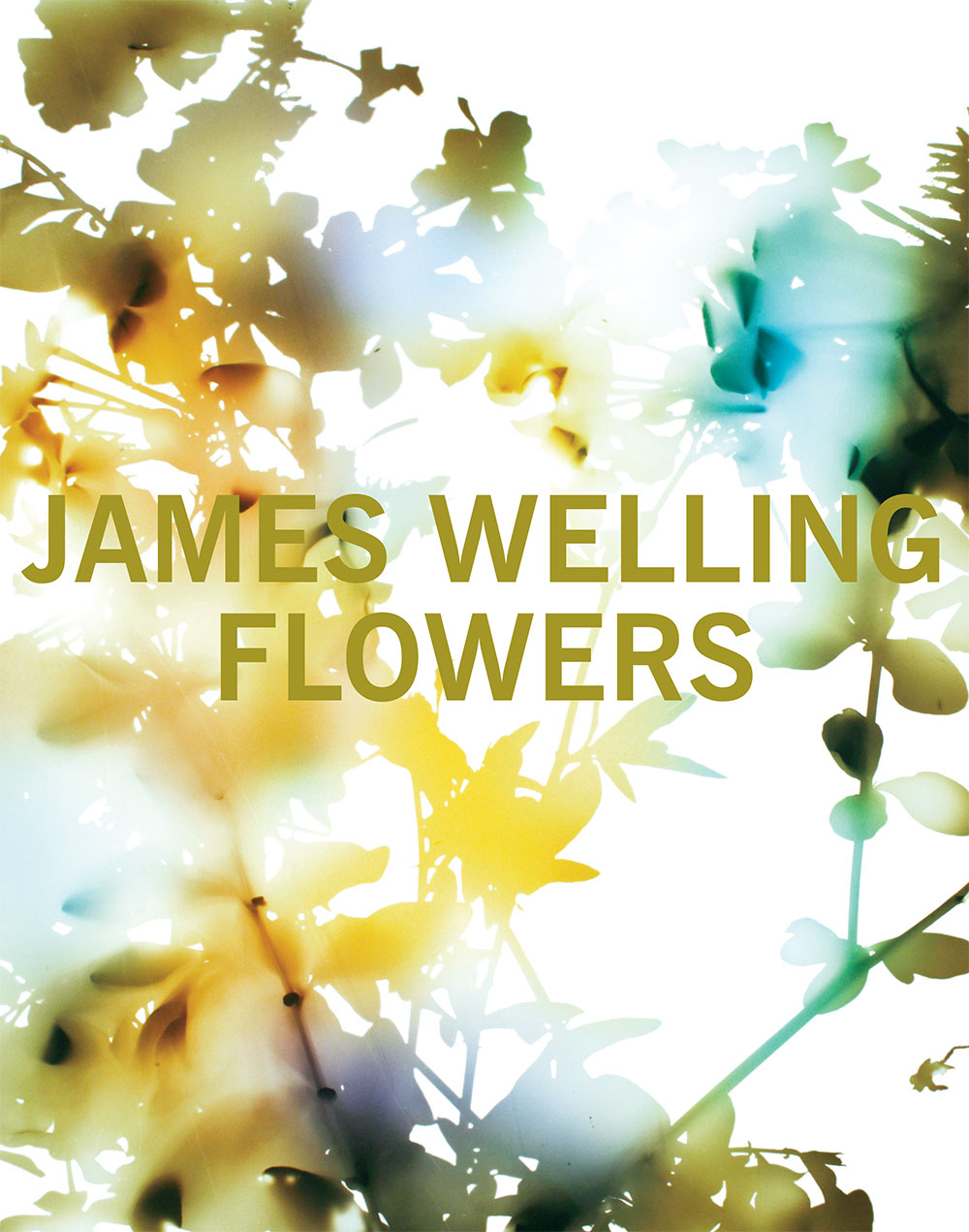 James Welling: Flowers